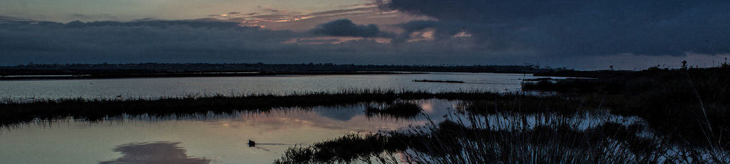 bolsachica wetland at sunrise