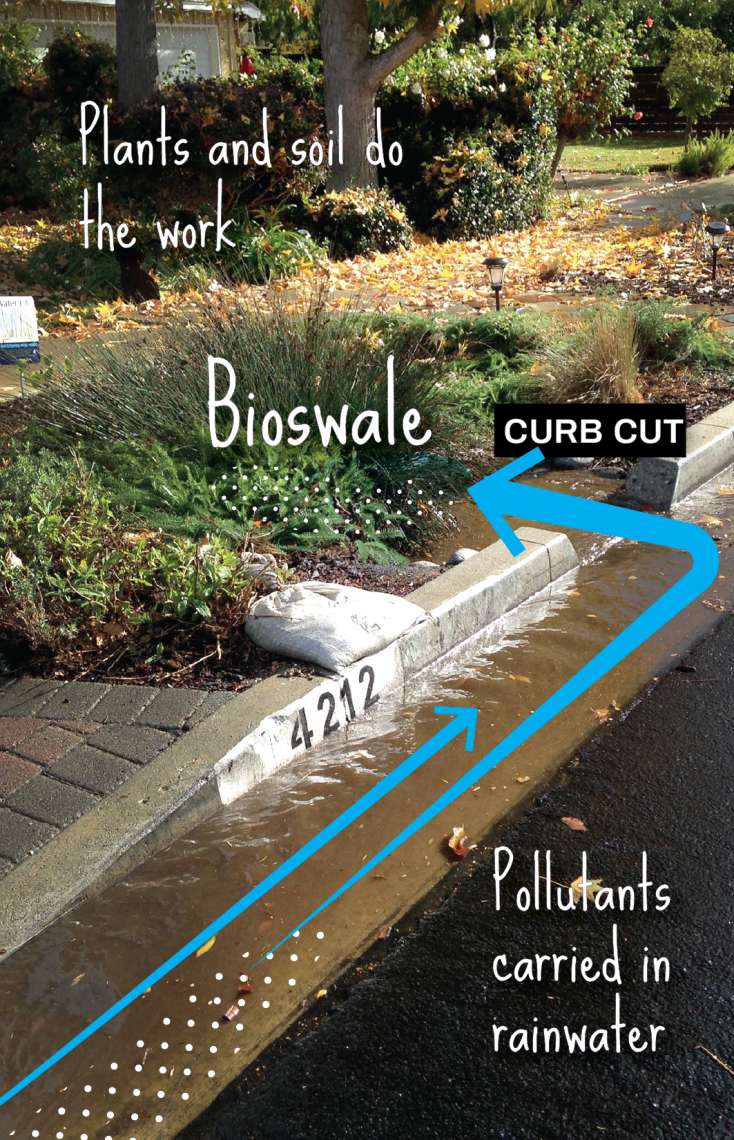 gi curb cut how it works sueellen 01