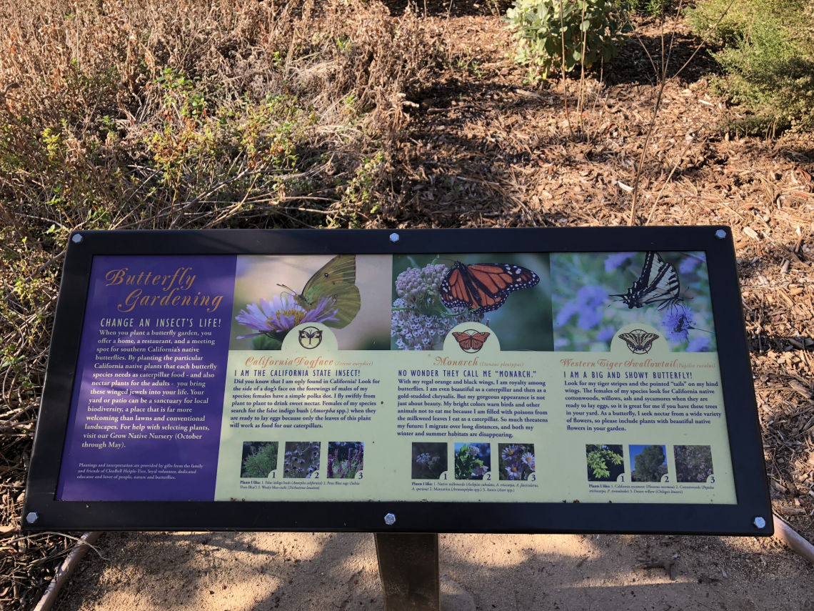 sign butterflies ranchosantaana