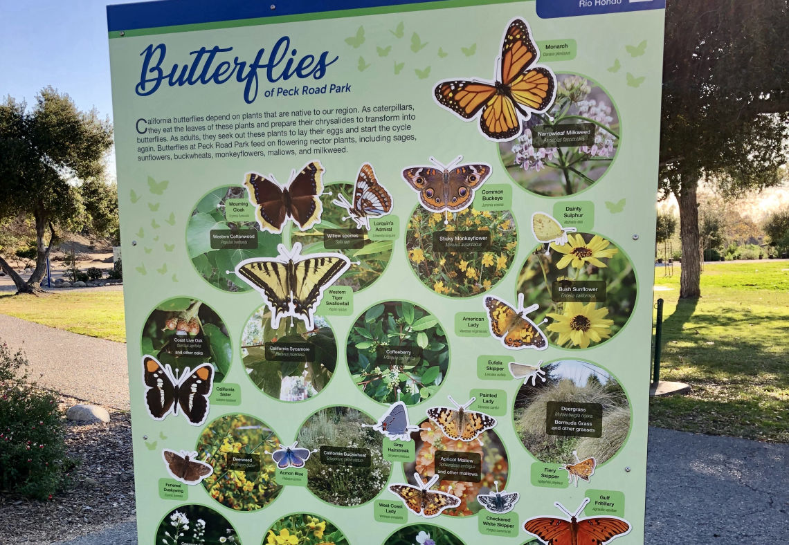 sign butterflies peckpark jm