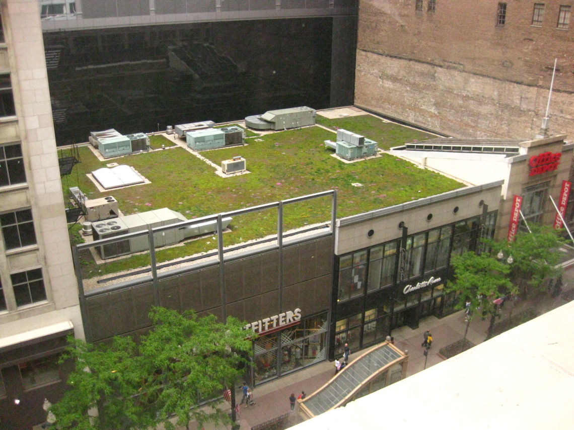 greenroof chicago flickr