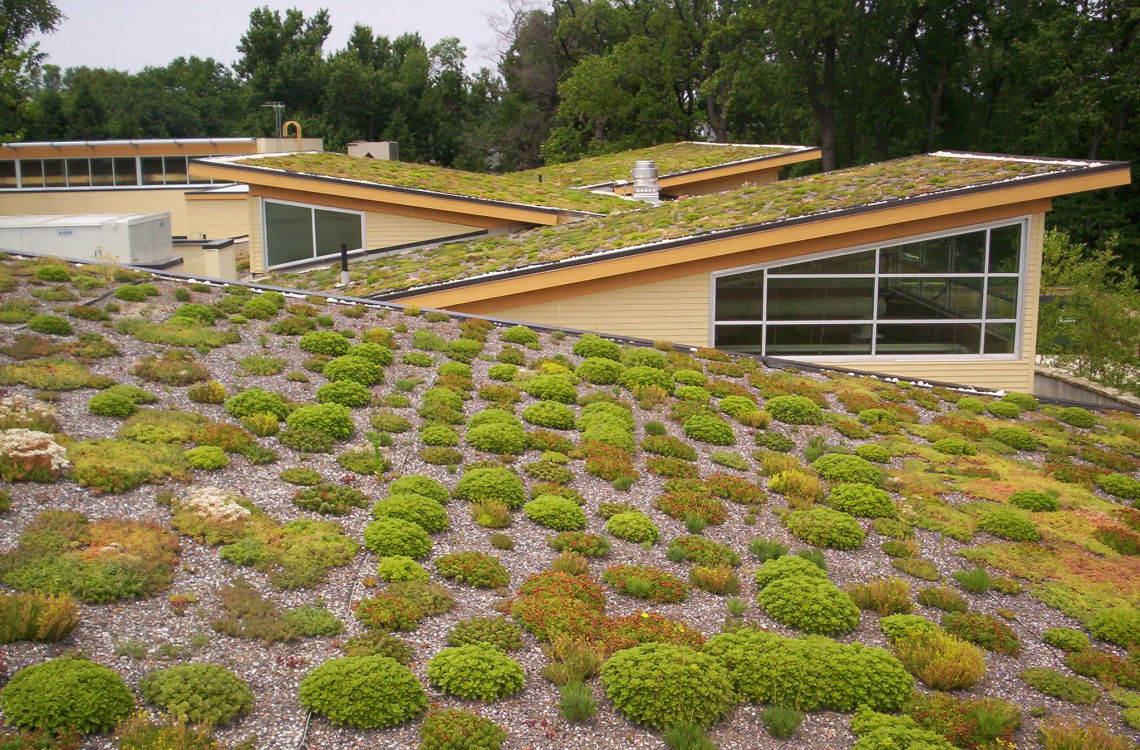 greenroof walterreed flickr