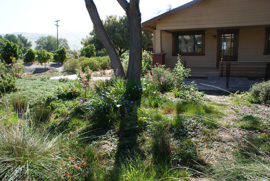 nativeplants cnps 06