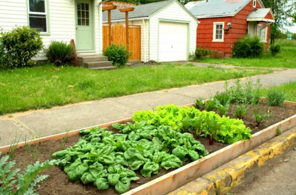 edible parkway