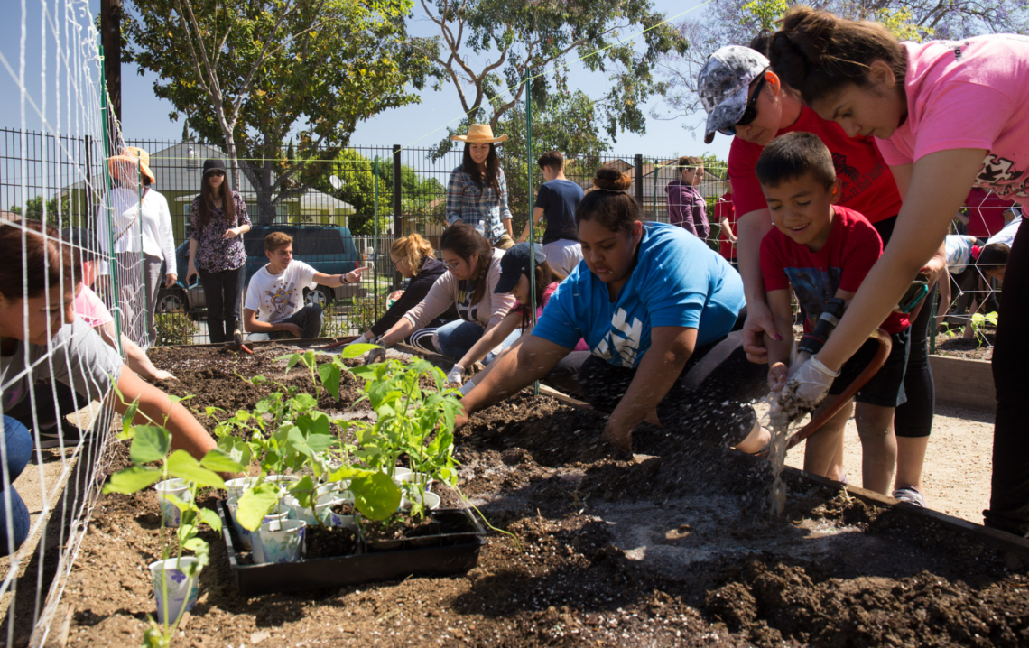 communitygarden laralinearpark swa