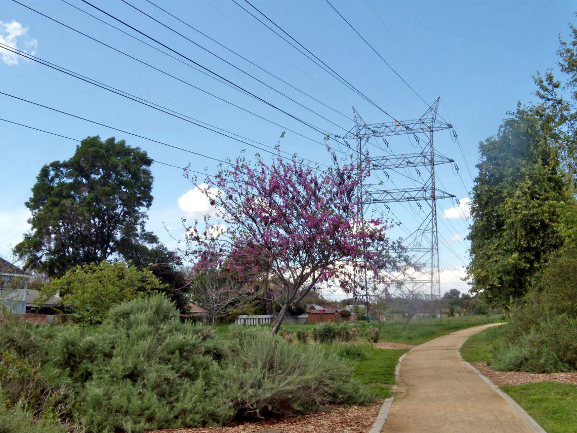 west san gabriel river trail 1