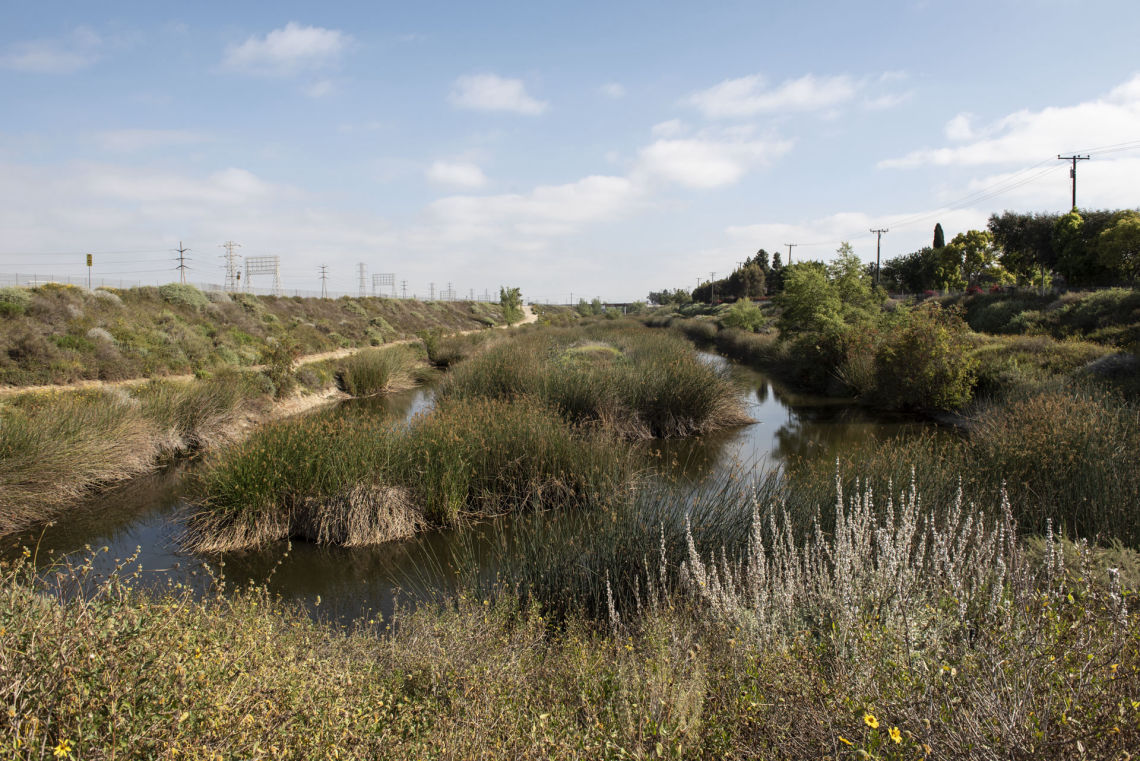 dominguezgap wetlands 02